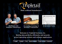 Web Design Services